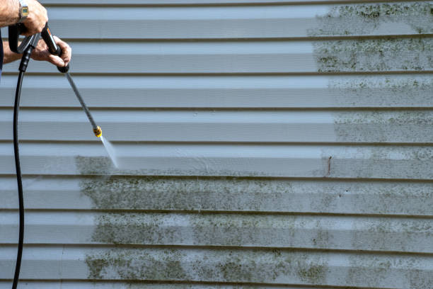 How To Choose The Right Materials for Your Siding Installation in 'East Highland Park, VA