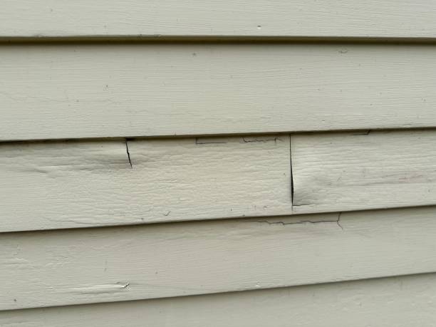 Trusted East Highland Park, VA Siding Services Experts